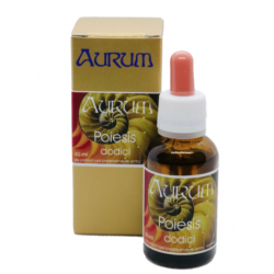 Aurum Poiesis Dodici...