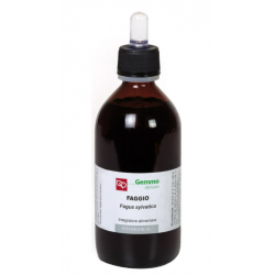 Fitomedical Faggio...