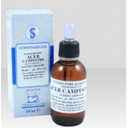 Extragem Acero Campestre...