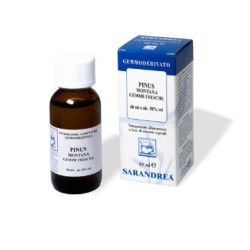 Sarandrea Pinus Montana...