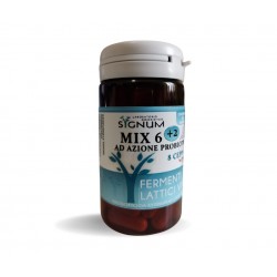 Sygnum Mix 6 + 2...