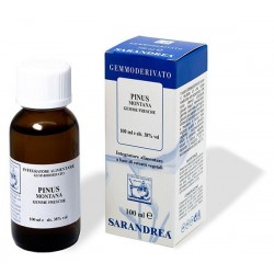 Extragem Pino Mugo...