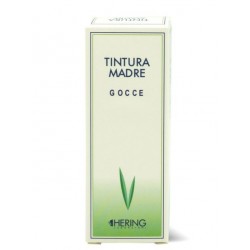 Hering Tilia Tomentosa...