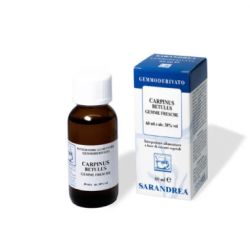 Sarandrea Carpinus Betulus...