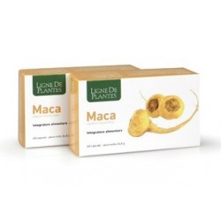 Natura Service Maca...