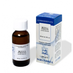 Sarandrea Betula Pubescens...