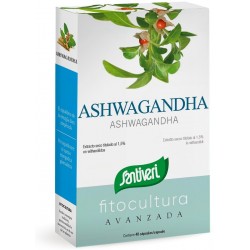 Fitocultura Ashwagandha...