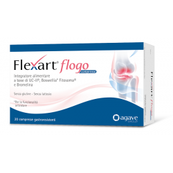 Flexart Flogo Integratore...