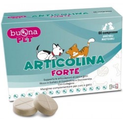 Articolina Forte...