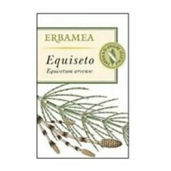 Erbamea Equiseto...
