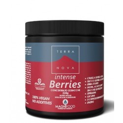 Terranova Super Shake...