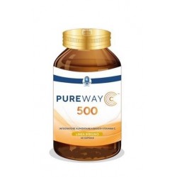 Pure Way C 500 Integratore...