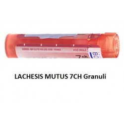 Boiron Lachesis Mutus 7CH...