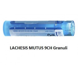 Boiron Lachesis Mutus 9CH...
