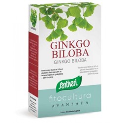 Ginkgo Biloba Integratore...
