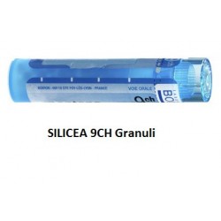 Boiron Silicea 9CH Granuli...