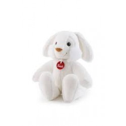 Trudi Coccoli Illumina...