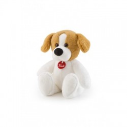 Trudi Coccoli Illumina...