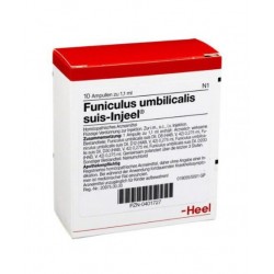 Funiculus Umbilicalis Suis...