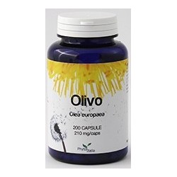 OLIVO 60 CAPSULE