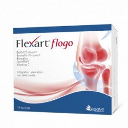 Flexart Flogo Integratore...
