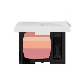 FARD 4 COLORI IN TROUSSE...