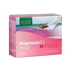 MAGNESIO B6 M-PAUSE 60 CAPSULE