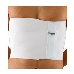 CINTURA ELASTICA TORACICA...