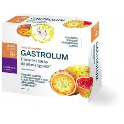 GASTROLUM 14 STICKPACK 10 ML