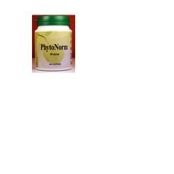 PHYTONORM 60 CAPSULE