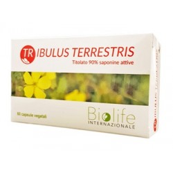 TRIBULUS TERRESTRIS 60 CAPSULE