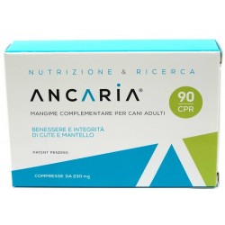 ANCARIA 90 COMPRESSE
