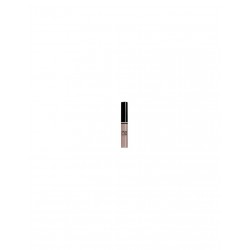 Diego della Palma Fissatore...