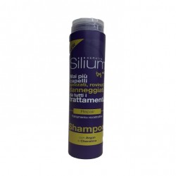 Silium Repair Trattamento...