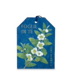 Foglie Di Te' Filtro...