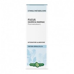 FUCUS TALLO SOLUZIONE...