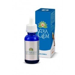 EXTRAGEM FLOGOSISTEM GTT 20ML