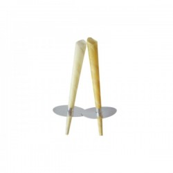 CONI CERATI AURICOLARI...