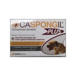 CASPONGIL PLUS 30CPR