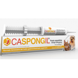 CASPONGIL PASTA 30 GR