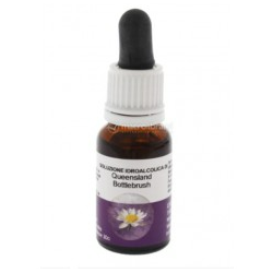 Yes Yarrow Enviromental...