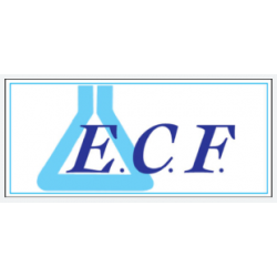 Ecofil Detergente Fluido...