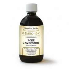 Dr Giorgini Gemmo 10+ Acero...