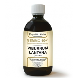 Dr Giorgini Gemmo 10+...