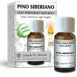 Dr Giorgini Pino Siberiano...