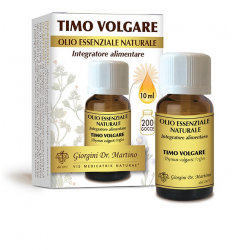 Dr Giorgini Timo Volgare...