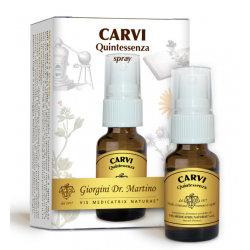 Dr. Giorgini Carvi...