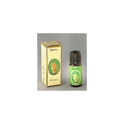 Litsea Olio Essenziale 10ml