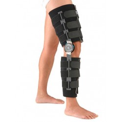 GNO-970 LEGGY ECO...