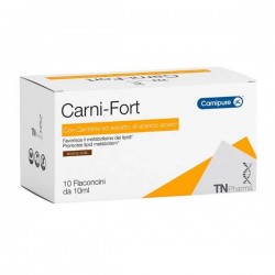 Tsunami Carni Fort...